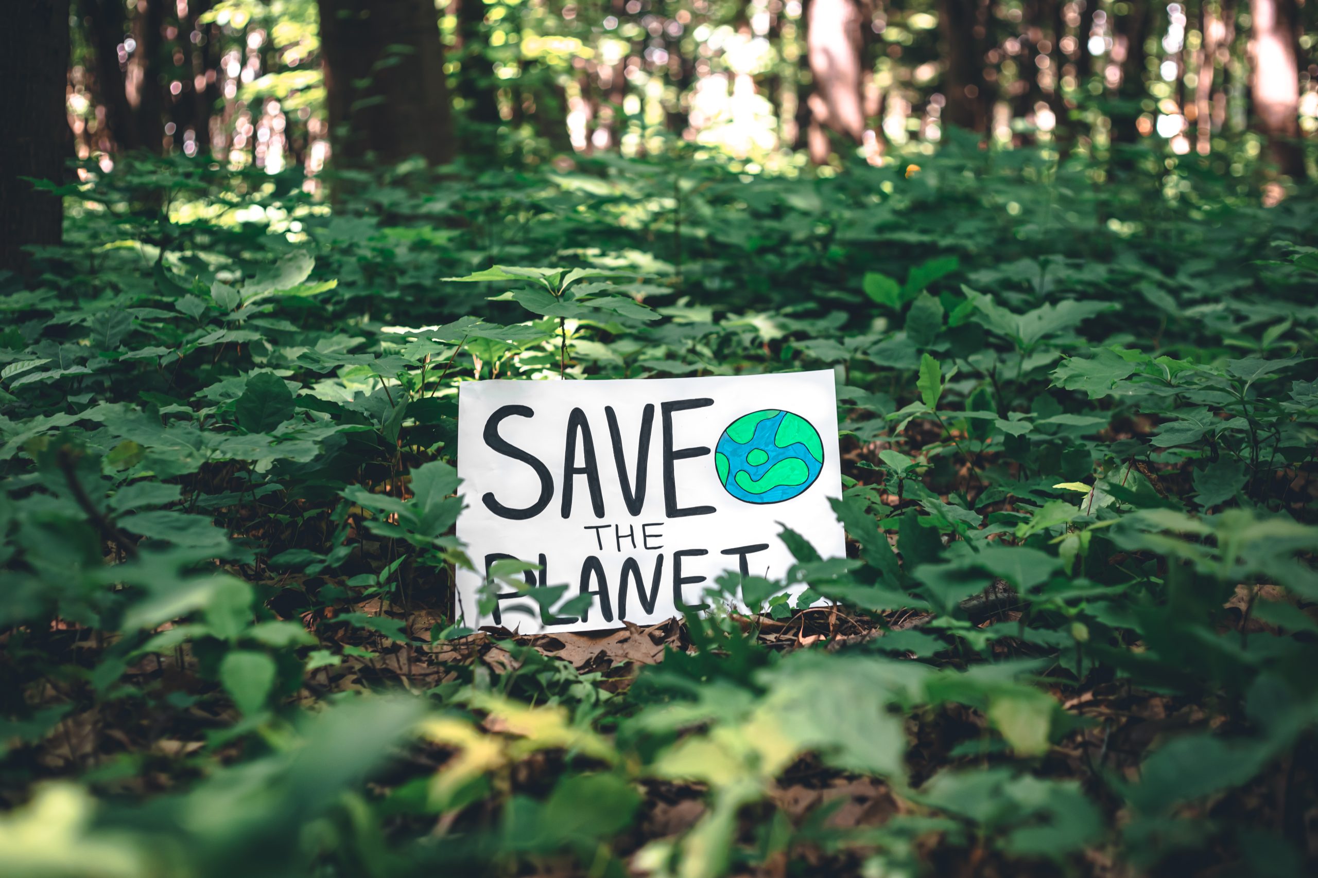 Facts About Why We Support Protecting The Environment – Ecowalkthetalk